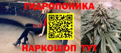 ГАЛЛЮЦИНОГЕННЫЕ ГРИБЫ Изобильный