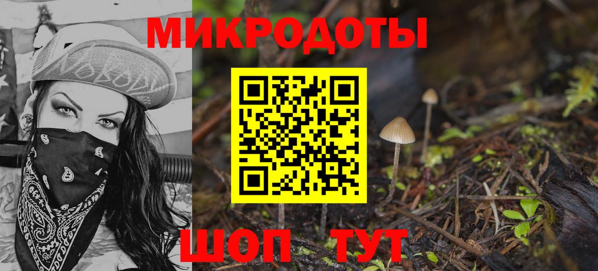 Псилоцибиновые грибы Cubensis Лабытнанги